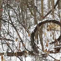 IMG_20171209_143626_030