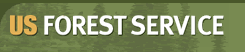US FORESTRY SERVICE